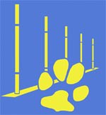 CLUB DE AGILITY PRINCIPADO