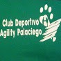 CLUB DE AGILITY PALACIEGO