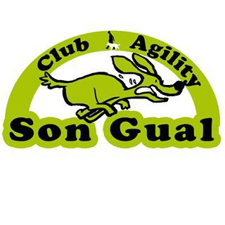 CLUB DE AGILITY SON GUAL