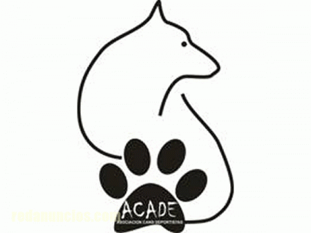 CLUB DE AGILITY ACADE