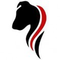 CLUB DE AGILITY INSULAR
