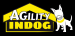 CLUB DE AGILITY INDOG