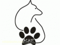 CLUB DE AGILITY ACADE