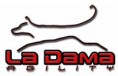 CLUB DE AGILITY LA DAMA