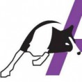 CLUB DE AGILITY ASKIZU
